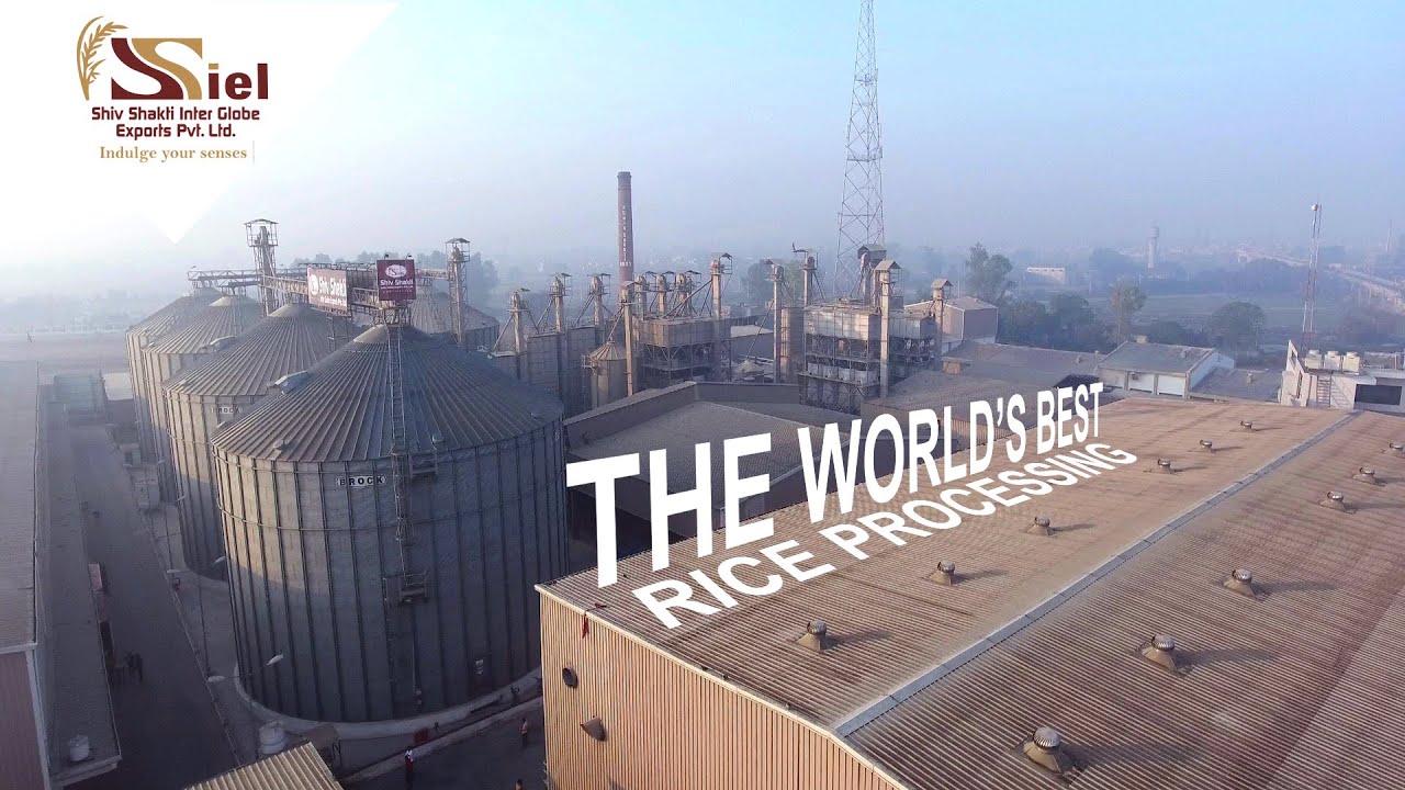 Shiv Shakti Inter Globe Exports: Corporate Video-Leading the World in Indian Basmati Rice Production