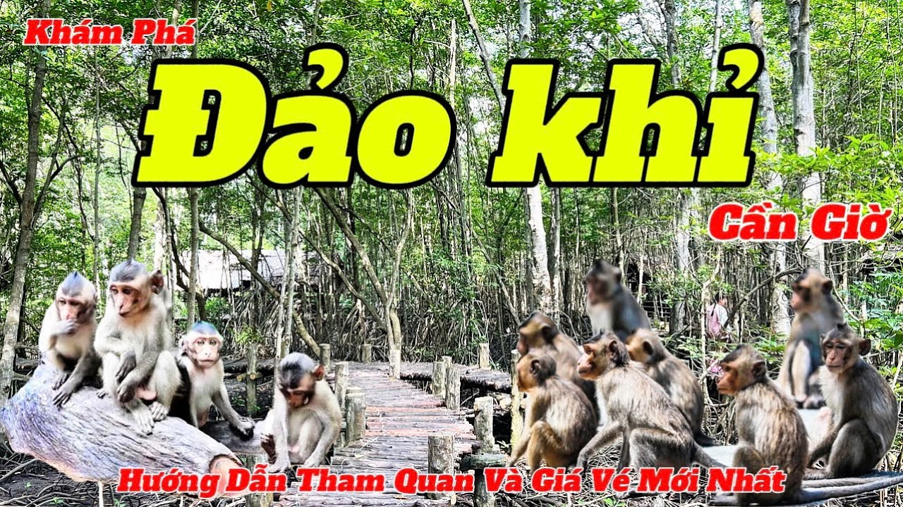 Khám Phá Đảo Khỉ Cần Giờ 2024 | Nơi Có Nhiều Khỉ Phá Phách Nhất Hiện Nay | Hướng Dẫn Chi Tiết