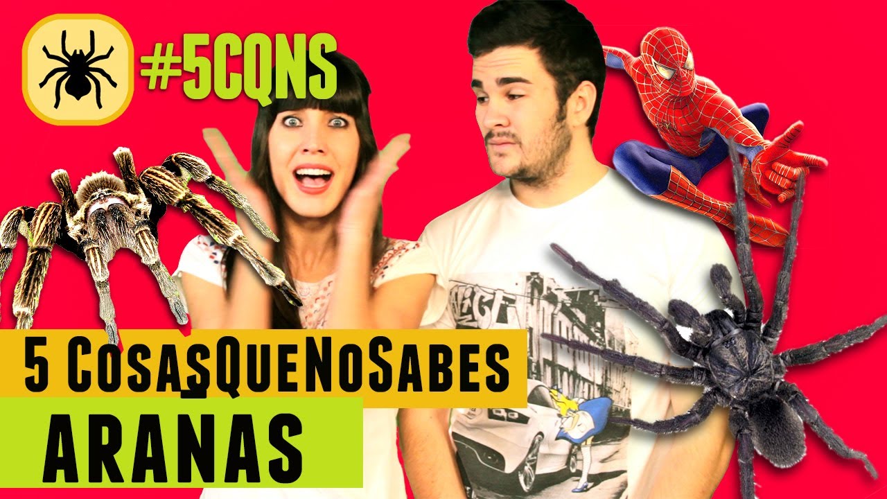 Arañas que te la ponen dura |#5CQNS