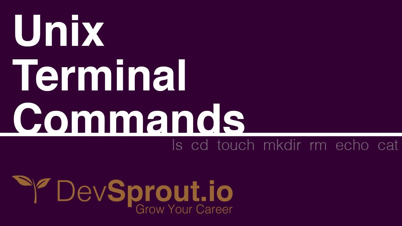 Основные команды терминала Unix