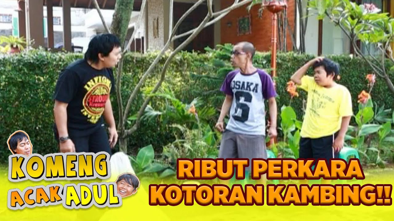 KENA DAH LU😩😩 MAMAT RIBUT AMA KOMENG PERKARA KOTORAN KAMBING🤣 | KOMENG ACAK ADUL