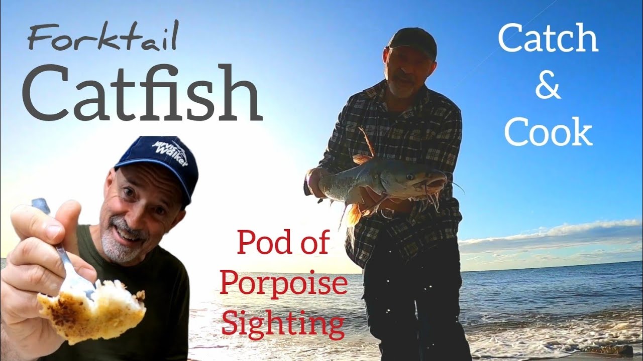 Silver Cobbler/ Catfish catch n cook. ep64