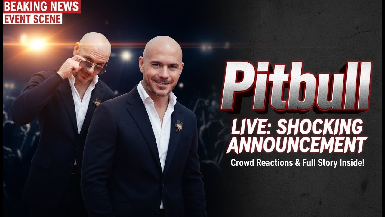 De la drogue à la gloire  La face cachée de l'ascension de Pitbull