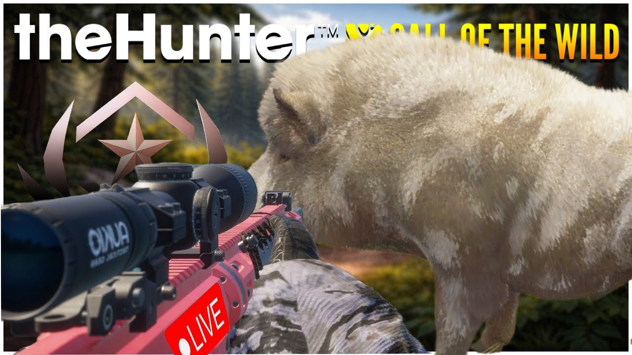 LIVE: 3440+ Kills Into The Great One Wild Boar Grind! Will He Spawn Tonight?