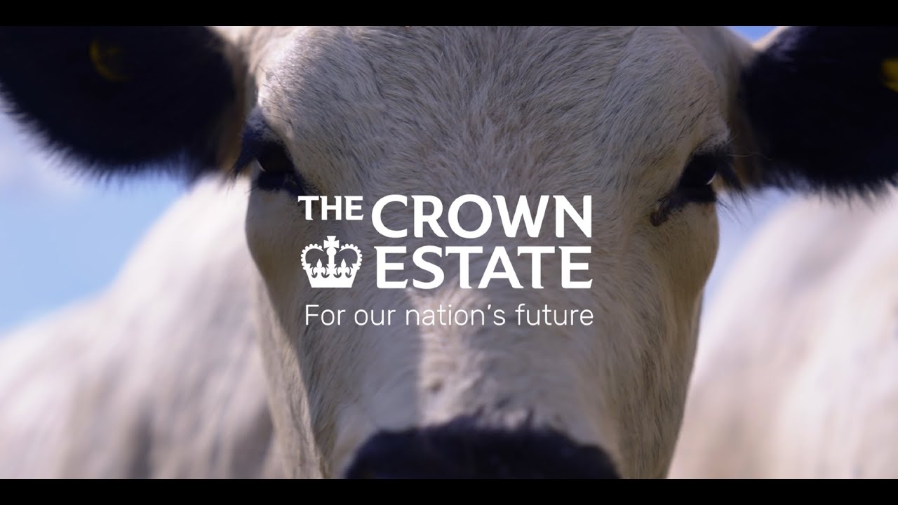 Kids on the farm: A real taste of countryside life