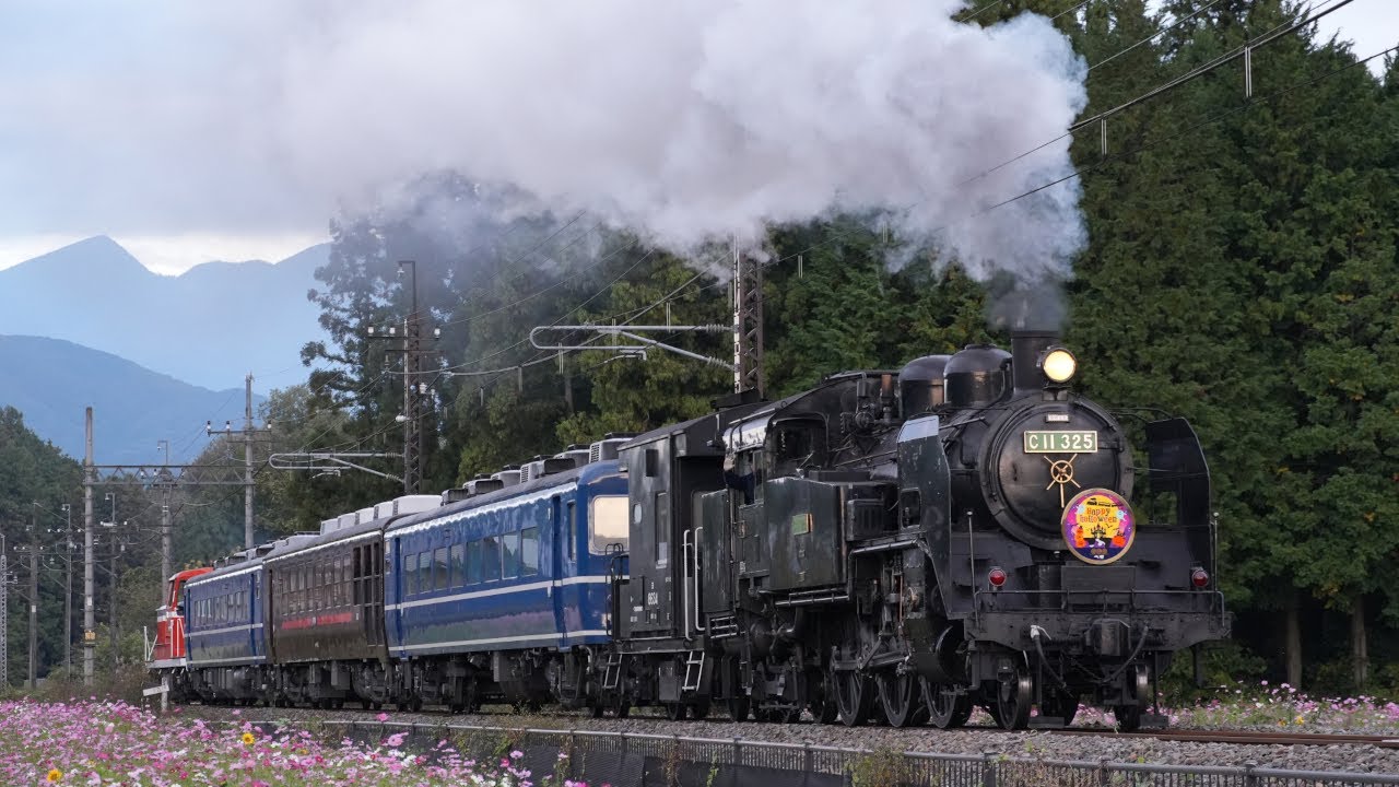東武鬼怒川線 倉ケ崎 25/10/29 (Tobu Kinugawa Line at Kuragasaki on Oct. 29 2025.)