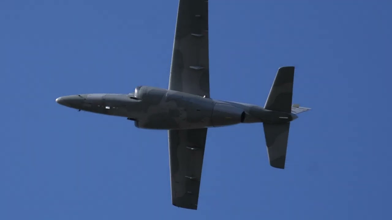 Birdstrike IA-63 Pampa! - Boeing 737, Saab 340 y Embraer 140 salidas desde Palomar, Argentina.