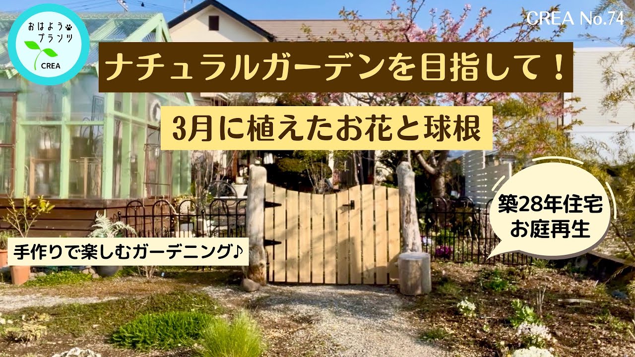 【ナチュラルガーデン目指して】春直前お庭の様子🌷植えたお花と芽出し球根No.74/2025.3.22撮影