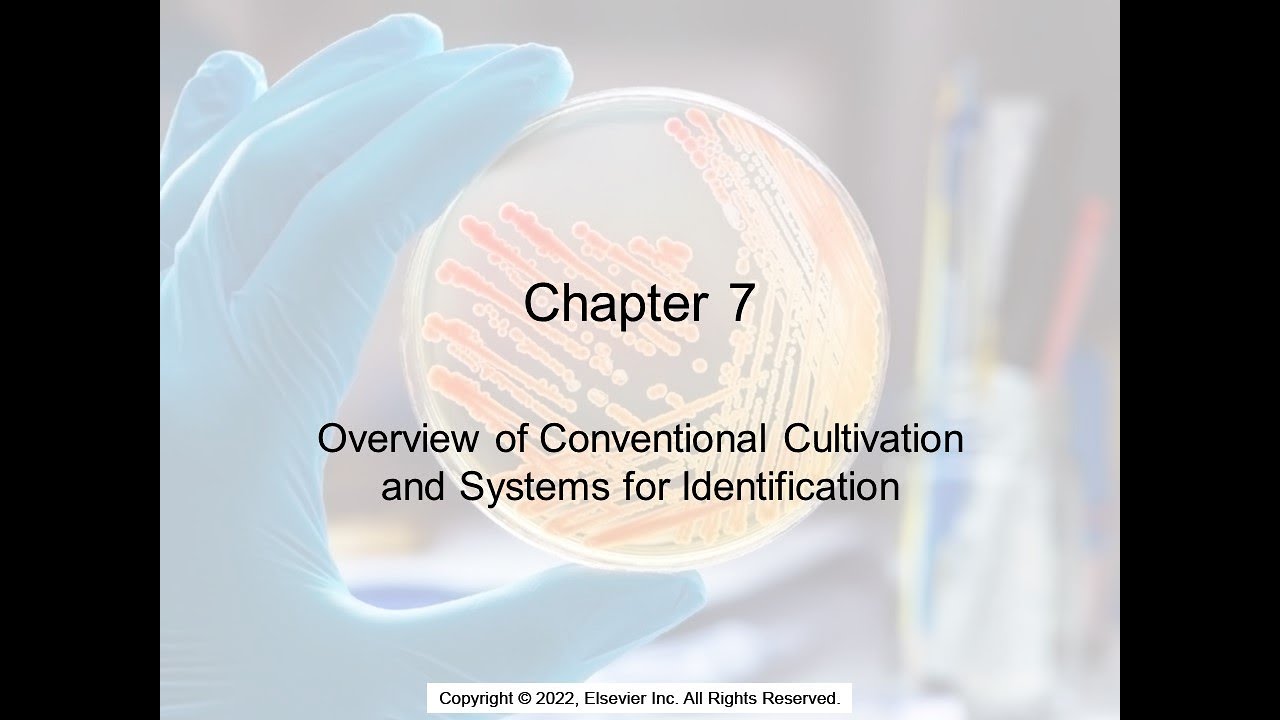 Medical Microbiology Overview of Identification Systems