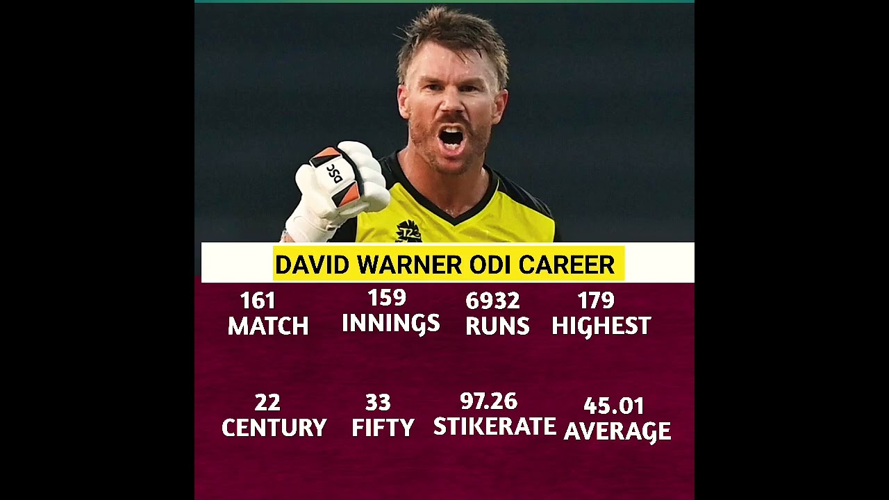 David Warner ODI CAREER !!