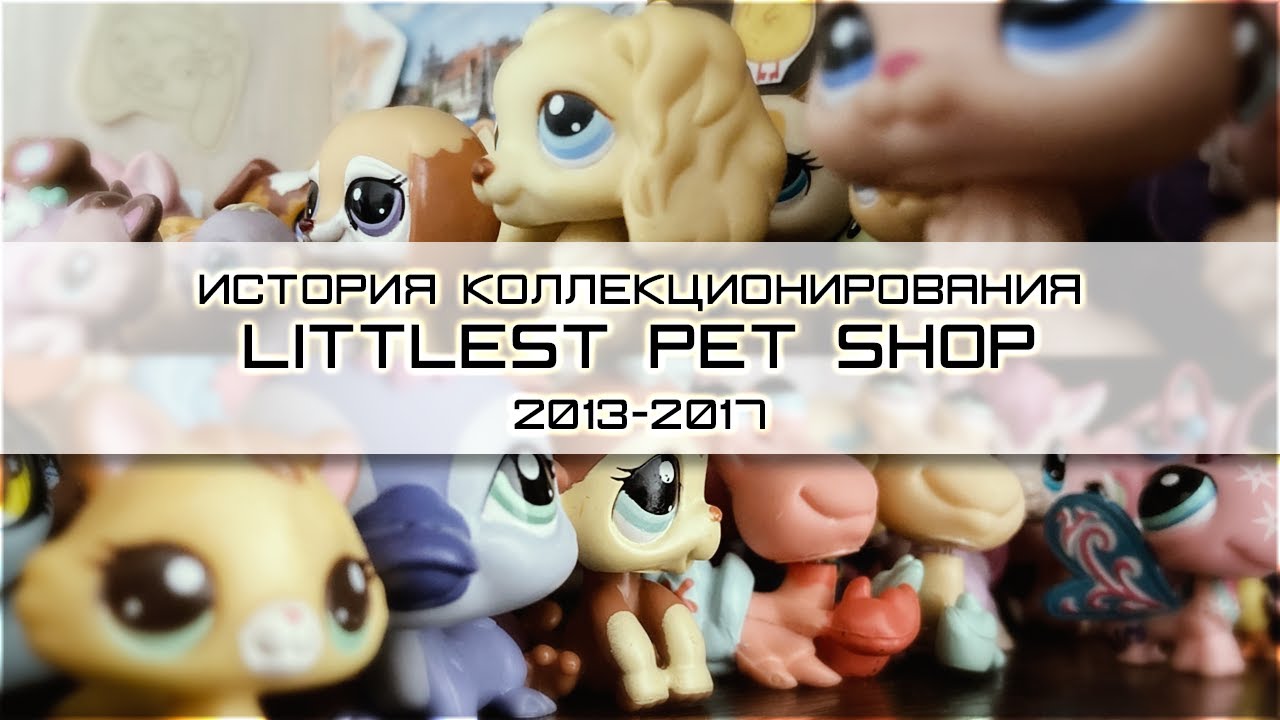 История коллекционирования LPS || Тяжело быть lps-ником (╥﹏╥) | Diakitty