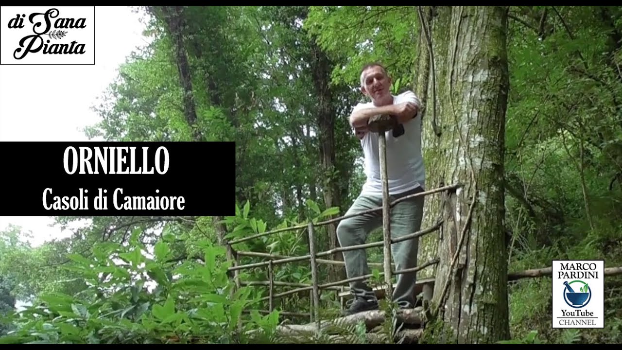 ORNIELLO