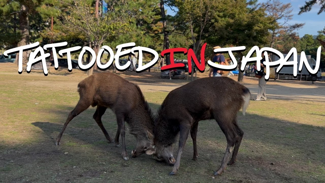 Playing Tourist in Nara with the Deer | 奈良