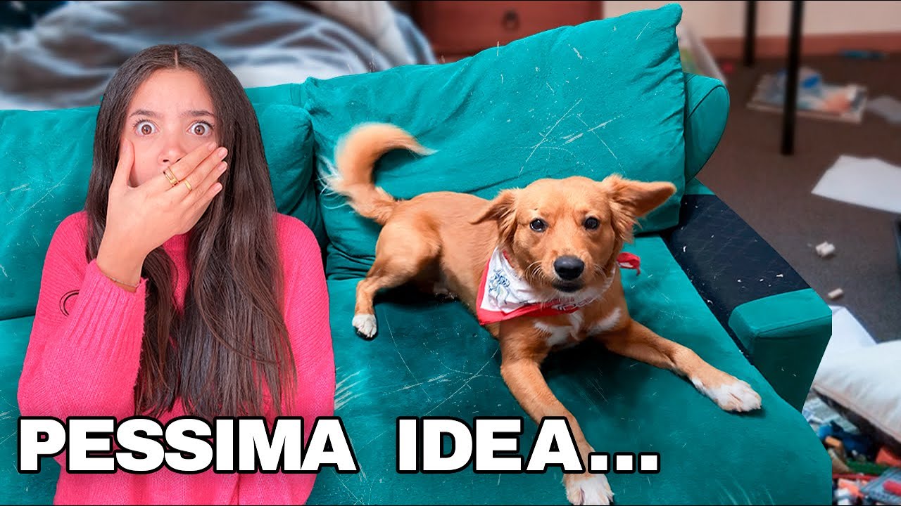 Lasciamo il nostro cane solo in casa per la prima volta!  😱