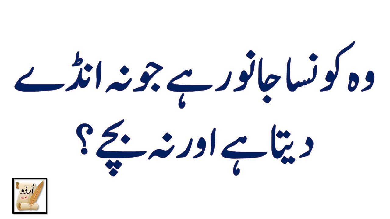 paheliyan in urdu with answer 2018 | common sense | riddles and brain teasers with answers