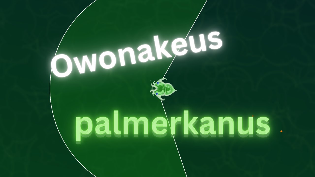 The Owonakeus palmerkanus [The bibites]