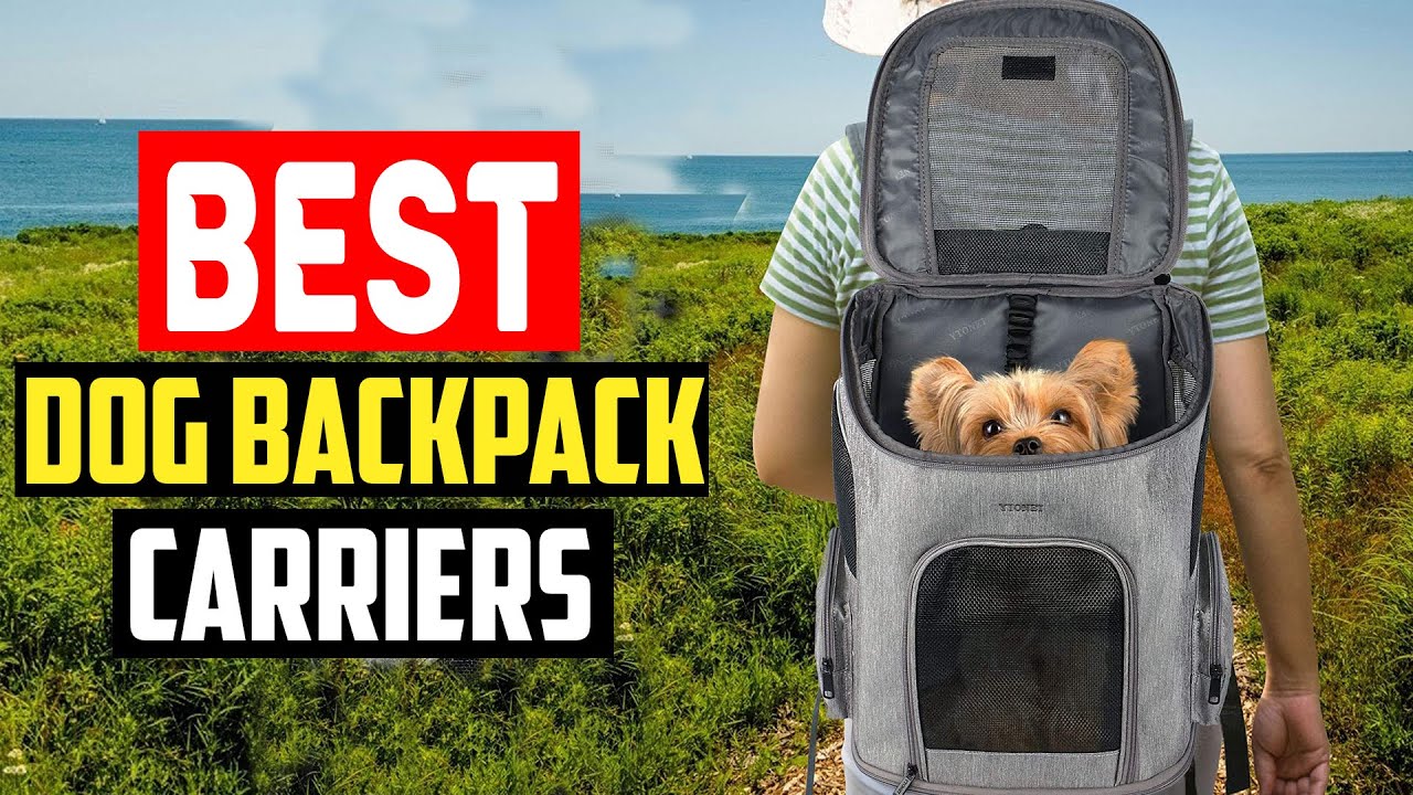 ✅ Top 5 Best Dog Backpack Carriers 2025