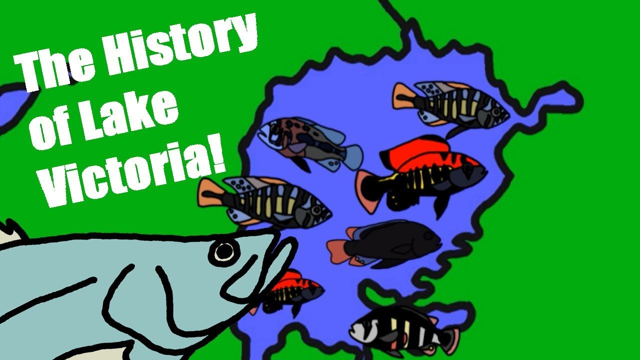 История экологического кризиса озера Виктория