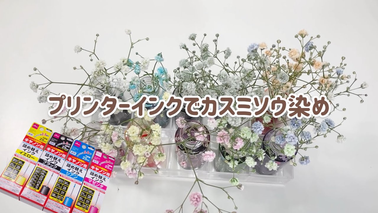 プリンターインクでかすみ草を染めました！