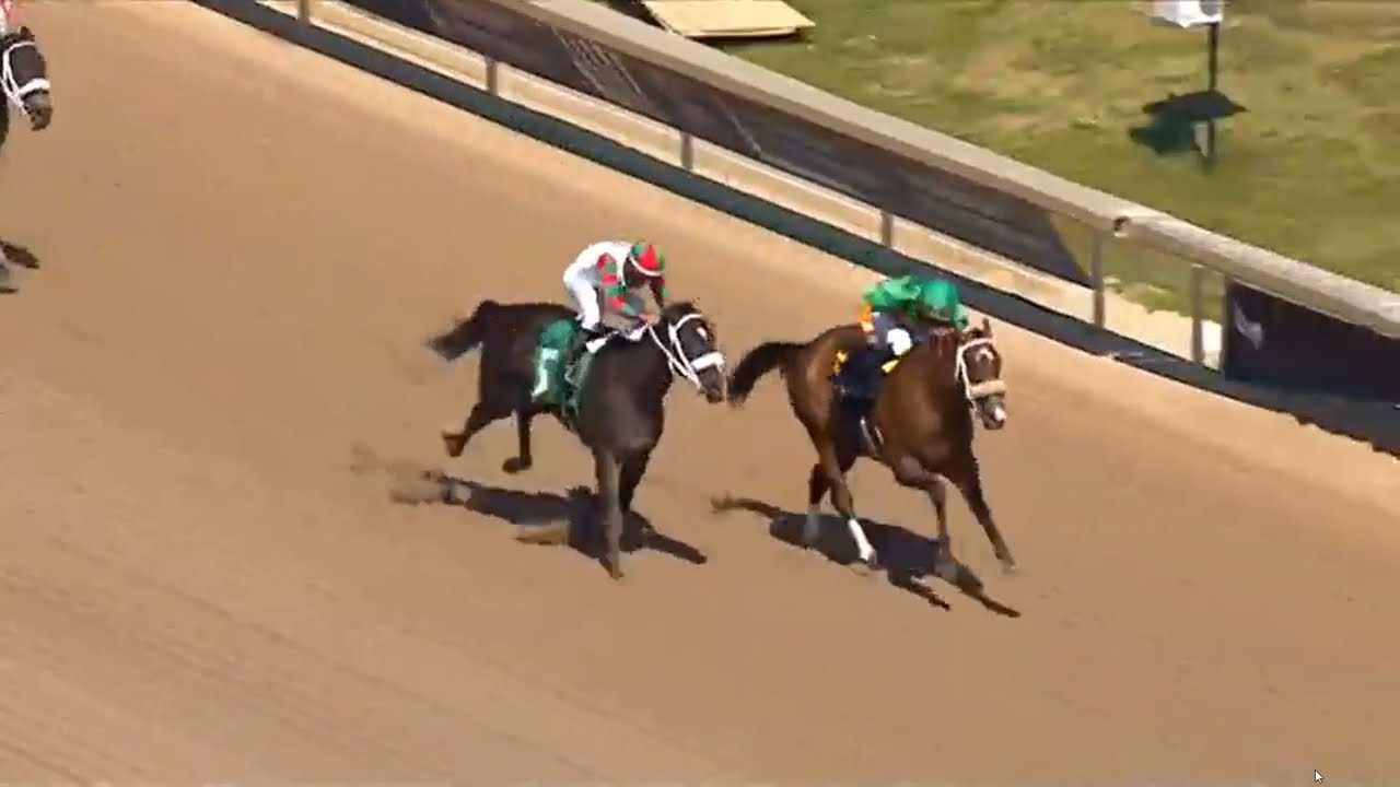 R3 - GULFSTREAM PARK -06 FEB 2026