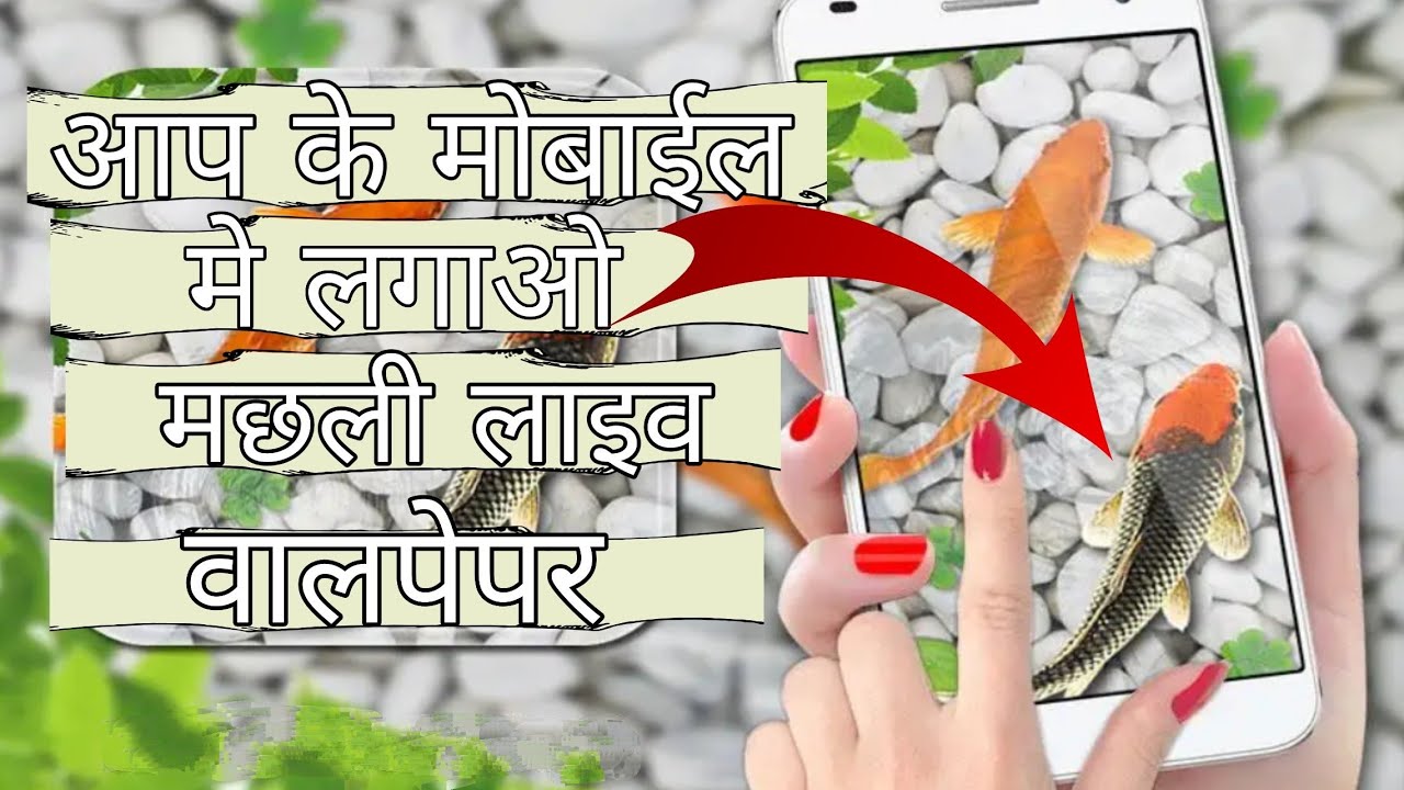 आप के मोबाईल स्क्रीन पर लगाये मछली लाइव वालपेपर, बिल्कुल नया हे।
