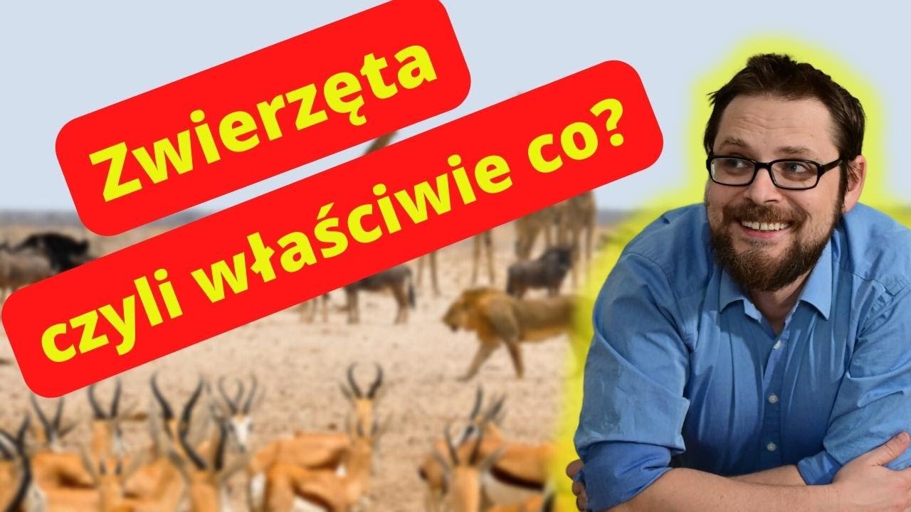 Królestwo zwierząt jest kosmicznie różnorodne. Kręgowce i bezkręgowce, ciekawostki i takie tam 🙀