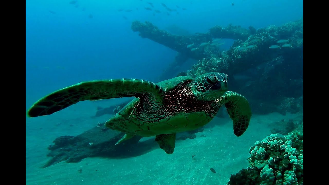 Lahaina Pier, Lahaina Maui Oct 2, 2018