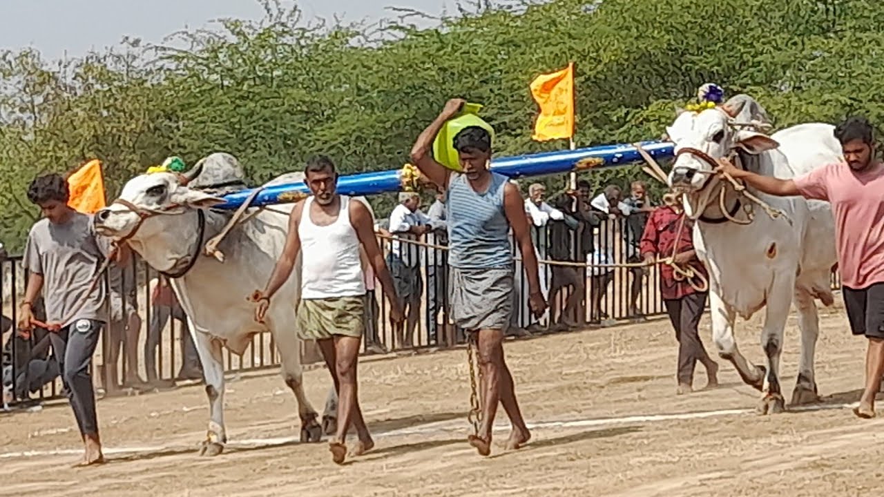 💥🌾అగడూరు గ్రామం న్యూ కేటగిరి విభాగానికి 9వ జత నంద్యాల విష్ణు వర్ధన్ రెడ్డి గారు💥04-02-2026💥