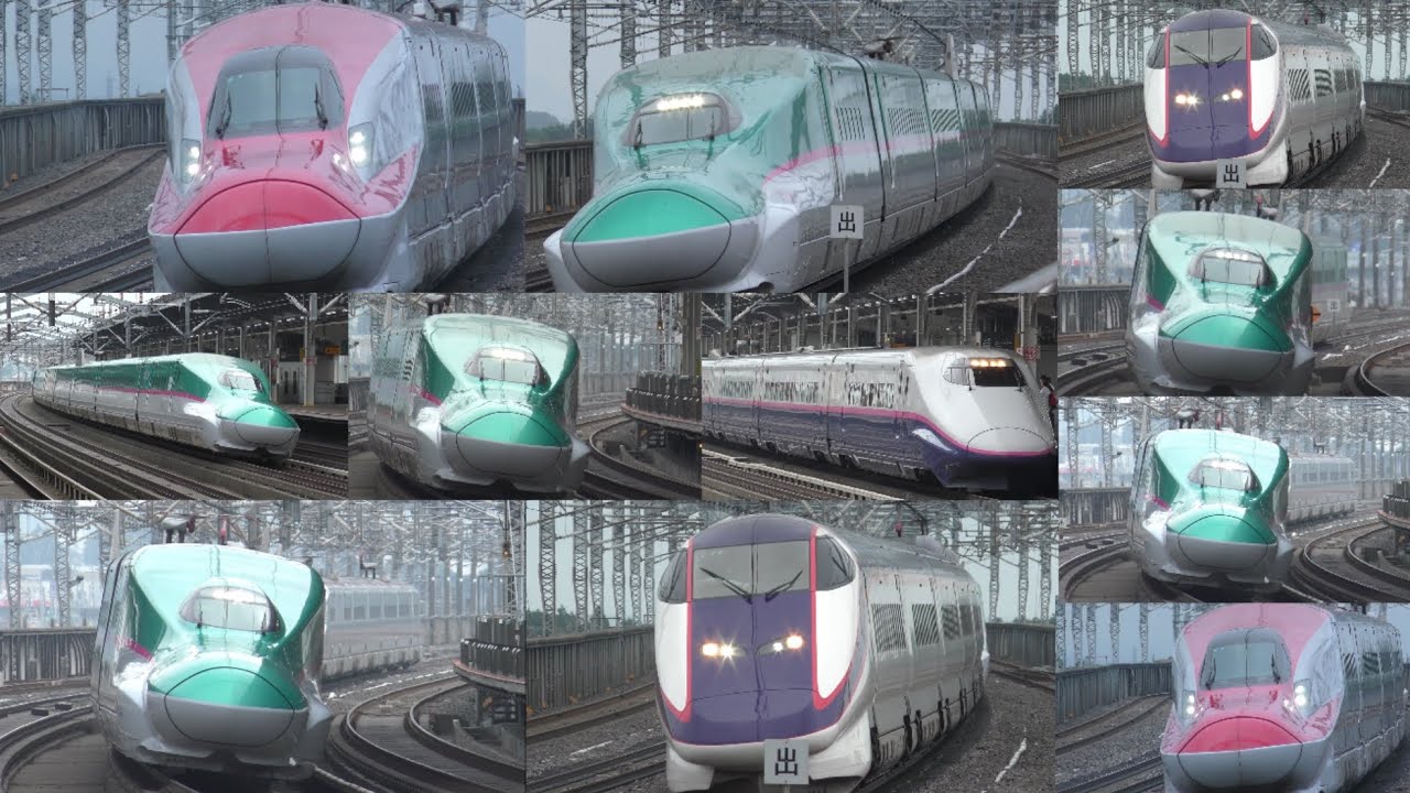 Tohoku Shinkansen high-speed passage#train #新幹線 