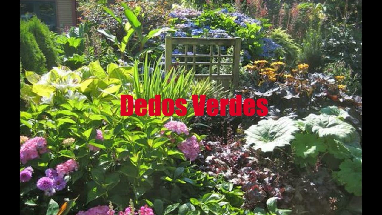 (Dedos verdes) de R.C.Cook.