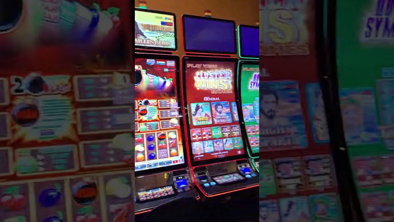 WhatsApp Video 2026 02 26 at 5 59 51 AM