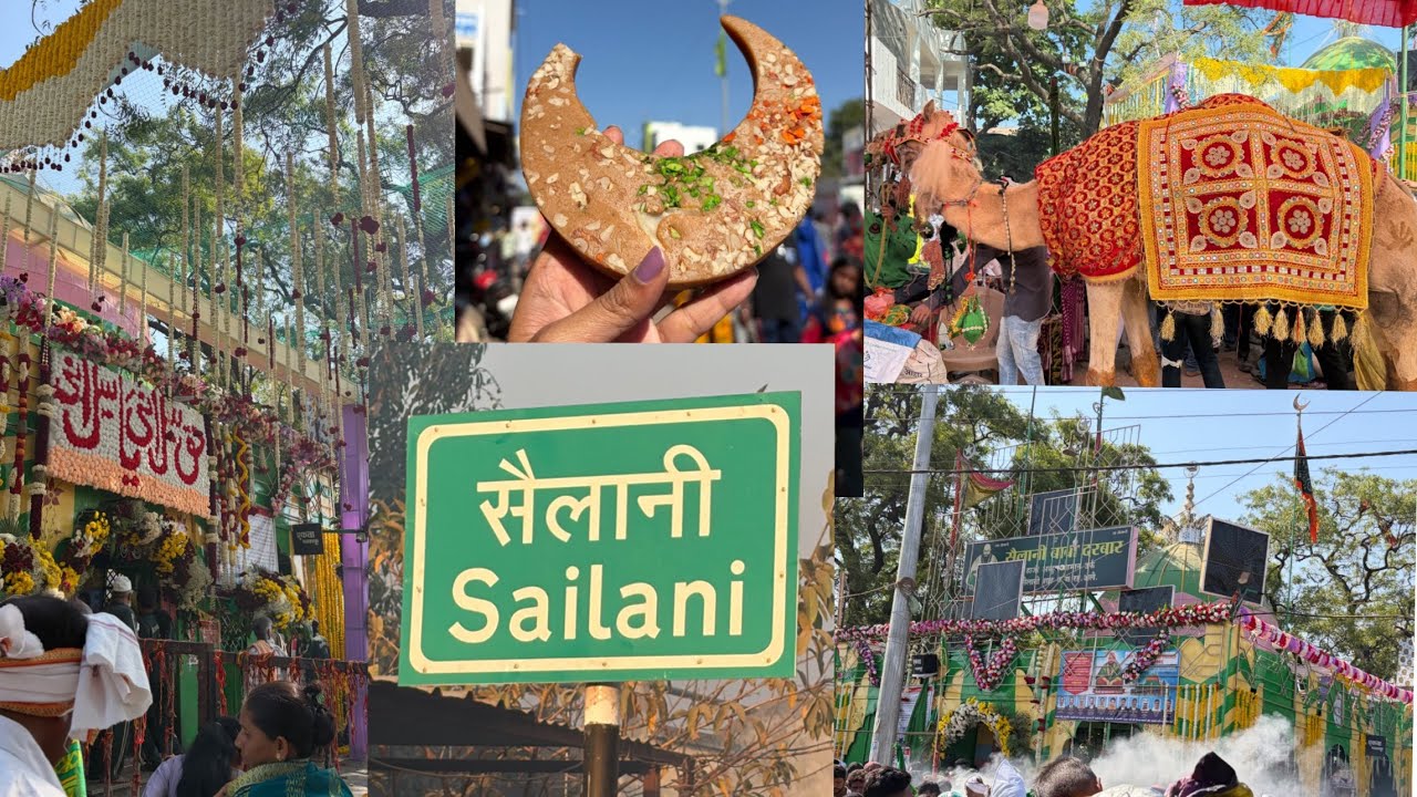 बुलढाणा हजरत सैलानी बाबा संदल 2026 | Hazrat Sailani Baba Sandal 2026 | Dhoni Holi | Sailani Urs 