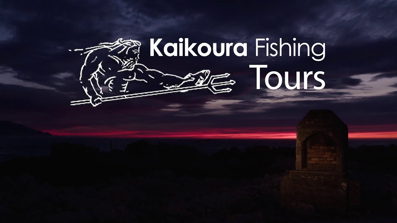 Kaikoura Fishing Tours ,Fish of the day
