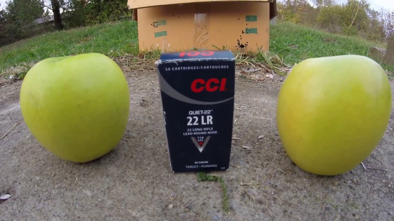 CCI Quiet Comparison to Pellet Gun and 22LR