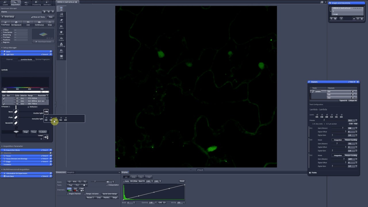 11. Lambda scan