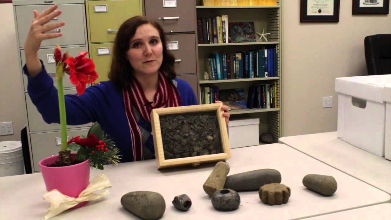 archaeoLOGIC - Ep.22 - Shell Midden