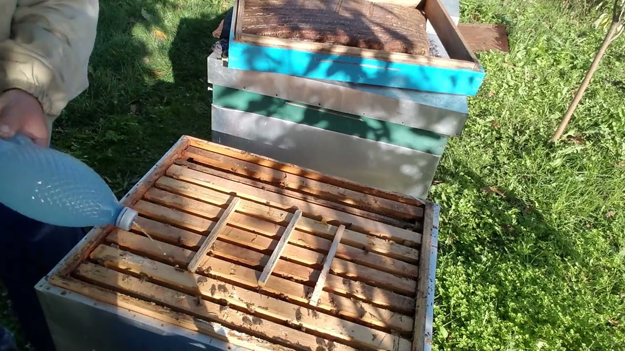 420.Deparazitare cu Bipin T.