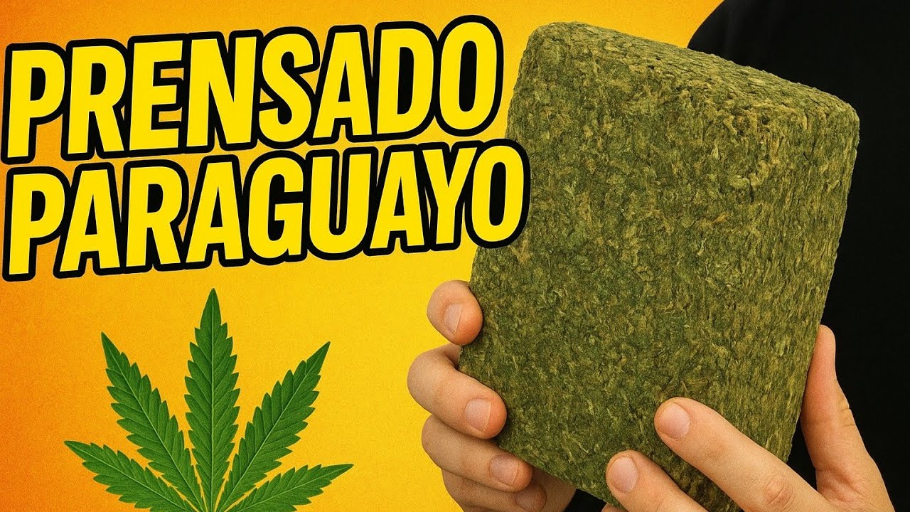 ¿QUÉ ES EL PRENSADO?