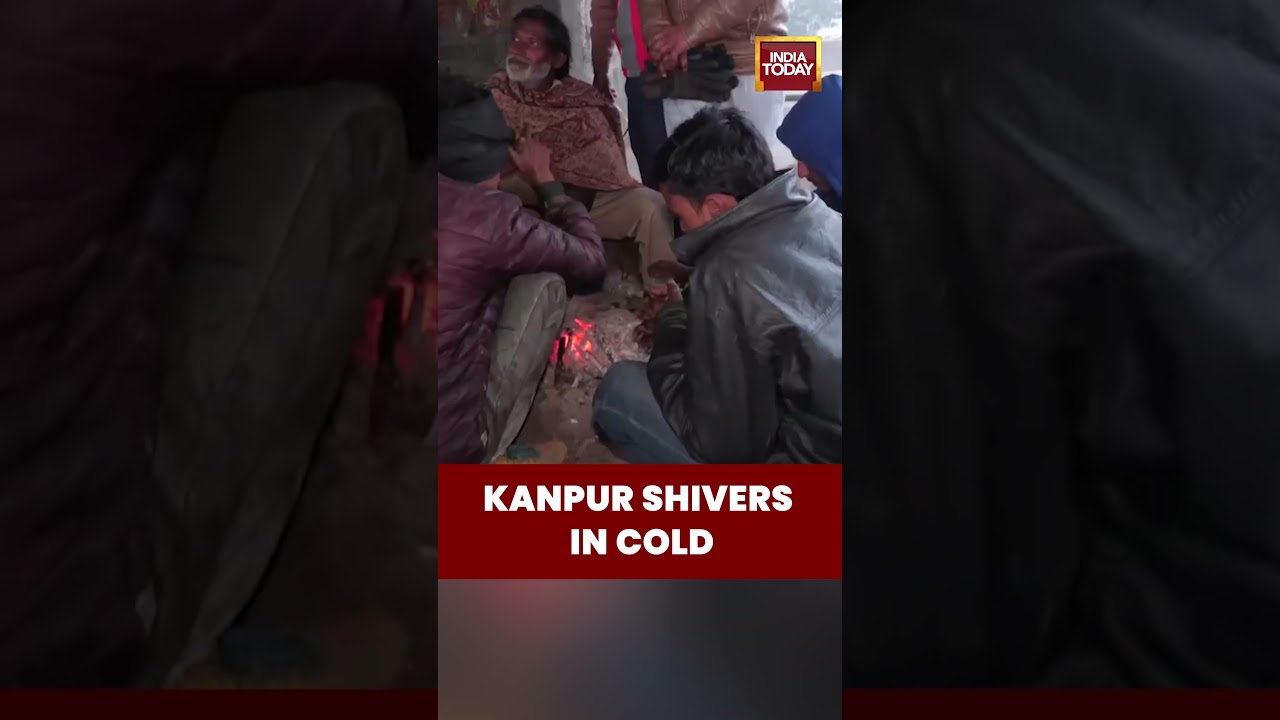 Dense Fog, Cold Wave Grip Kanpur as Temperatures Plunge