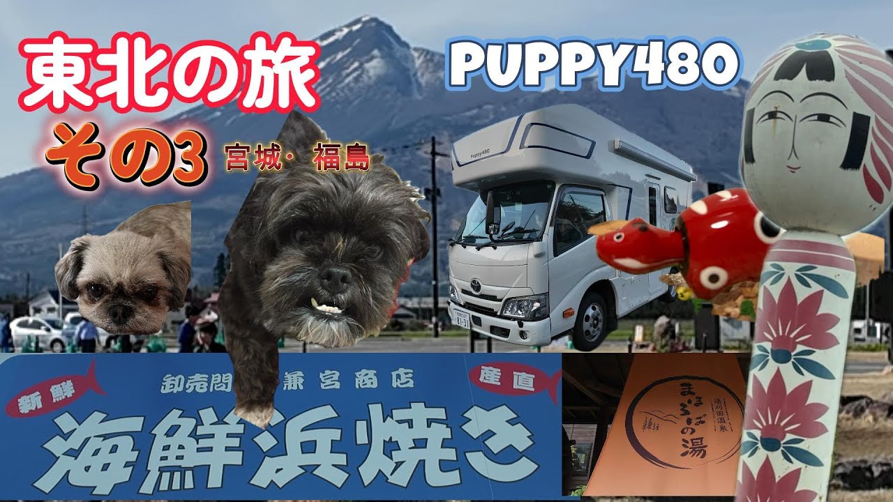 PUPPY480 すーさん＆なおさん&わんこの旅 　東北編③　｜RVパークおながわ　海鮮浜焼き｜温泉ゆぽっぽ｜松島　島巡り観光船｜遠刈田温泉郷　まほろばの湯｜道の駅猪苗代｜パピー480｜