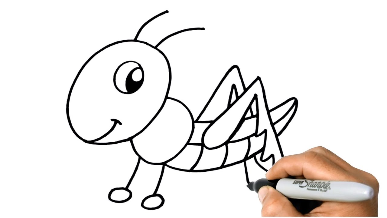 How to DRAW a GRASSHOPPER Easy Step by Step