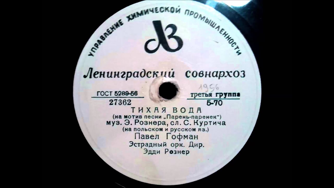 Павел Гофман - Тихая вода