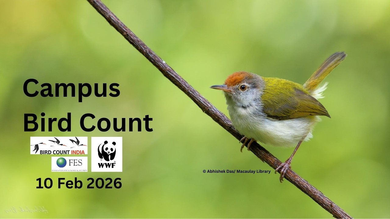 Campus Bird Count | What, Why & How to Participate | Hindi Webinar