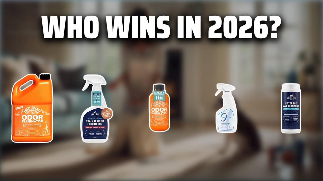 The Top 5 Best Natures Miracle Stain And Odor Remover Dog in 2026 - Must Watch Before Buying!