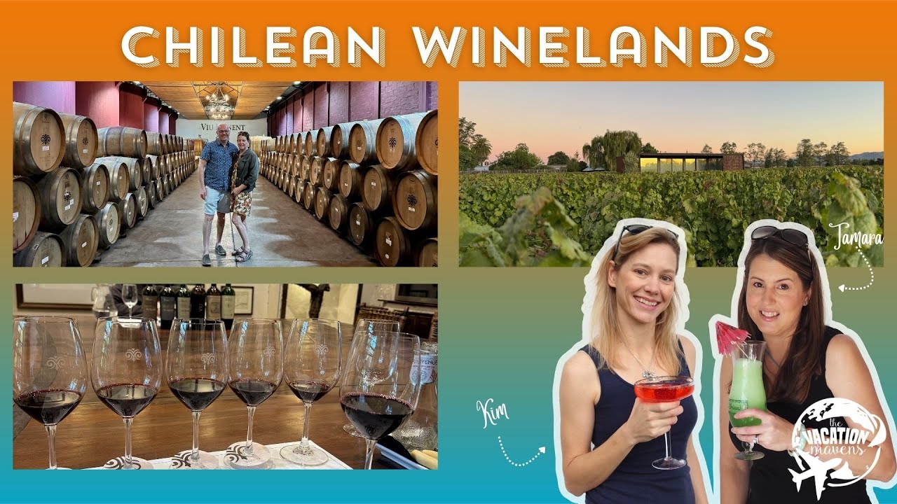 Wine Tasting in Chile
