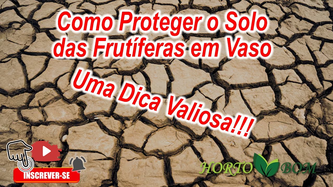 Saiba Como Proteger seu Solo...