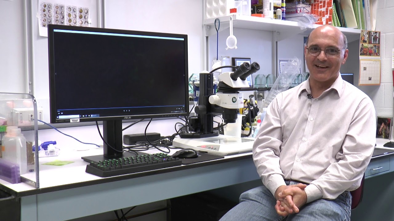 Zebrafish Facebook live with Dr. Weinstein