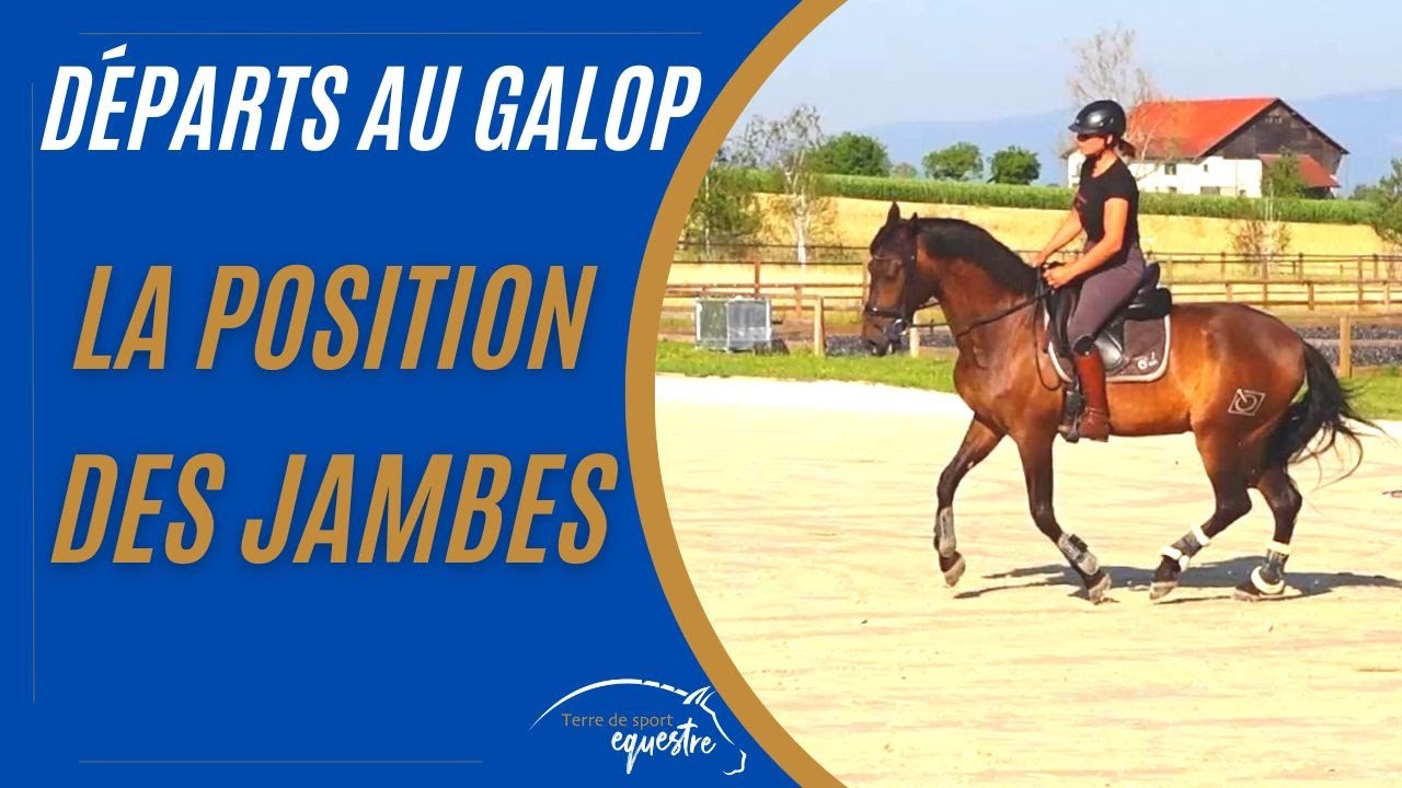 Départ au galop : comment bien placer ses jambes ?