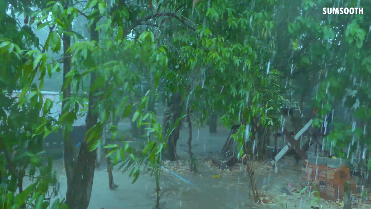 Heavy Rain In 4K!! Life in Cambodia