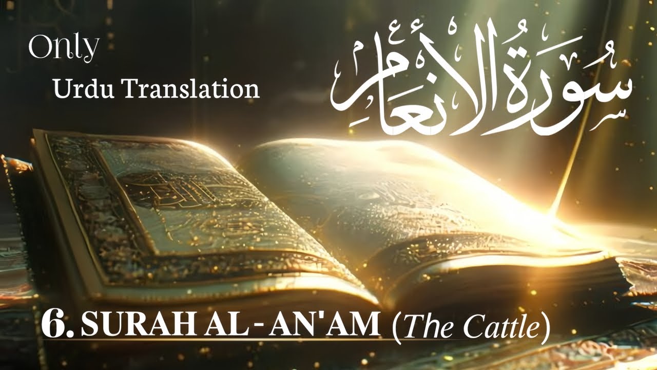 6.Surah Al-An'am | Urdu translation |Quran #quran #video #islam #qurantranslation